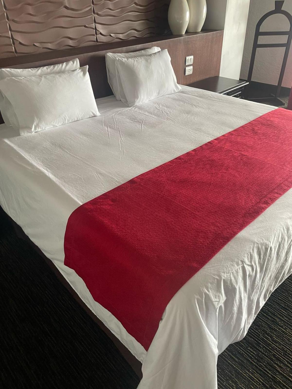 Radisson Hotel Tapatio Guadalajara Aeropuerto 特拉克帕克 外观 照片